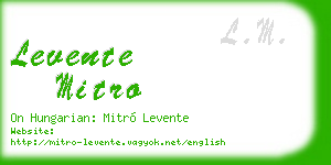levente mitro business card