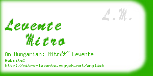levente mitro business card